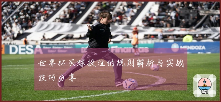 世界杯买球投注的规则解析与实战技巧分享