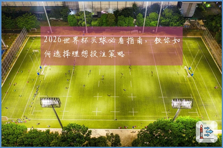 2026世界杯买球必看指南，教你如何选择理想投注策略