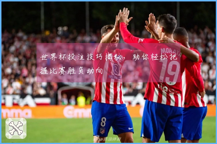 世界杯投注技巧揭秘，助你轻松把握比赛胜负动向