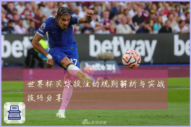 世界杯买球投注的规则解析与实战技巧分享