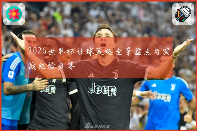 2026世界杯让球策略全景盘点与实战经验分享