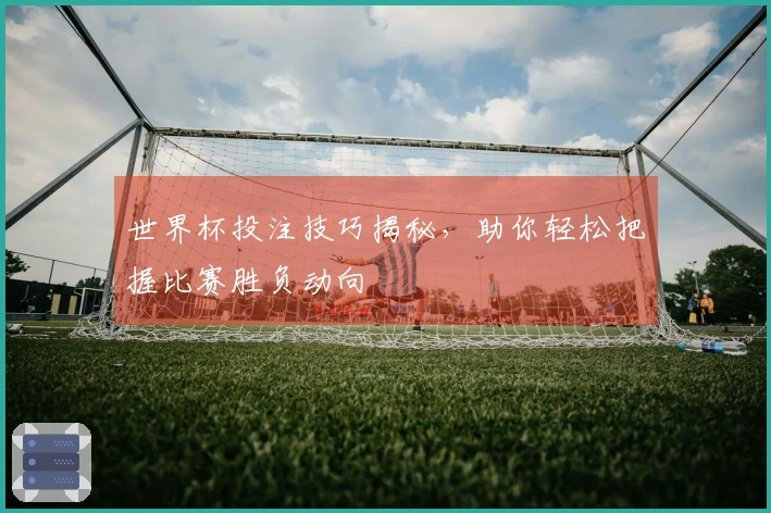 世界杯投注技巧揭秘，助你轻松把握比赛胜负动向