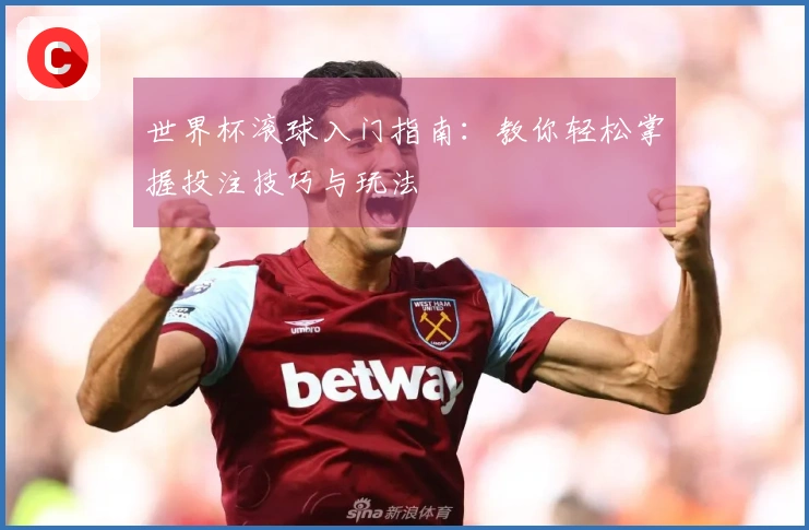 世界杯滚球入门指南：教你轻松掌握投注技巧与玩法